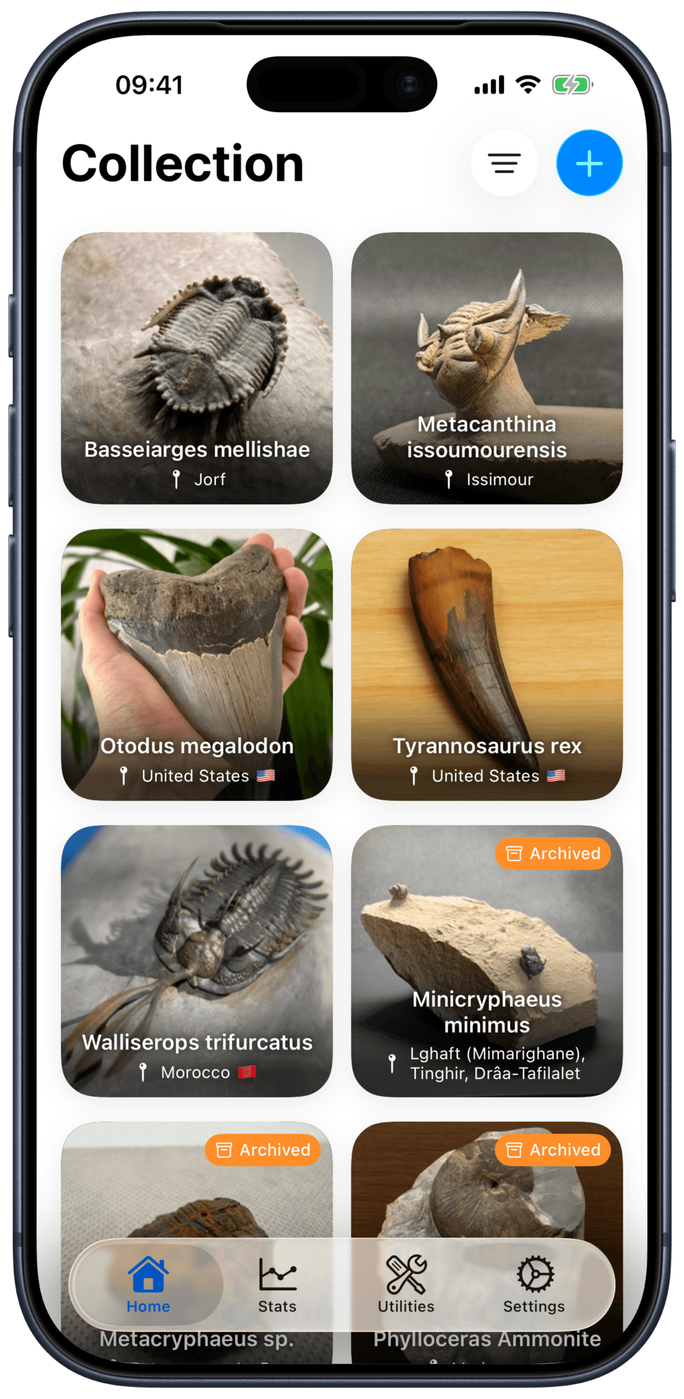 FossilVault home screen with collection overview